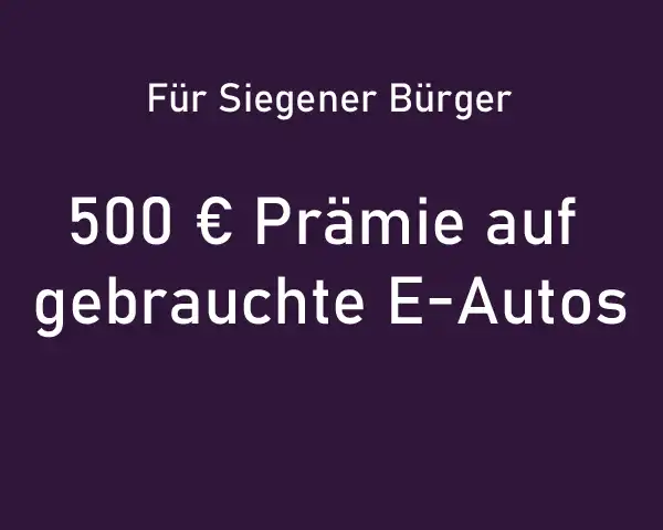 Gebrauchte Elektroautos